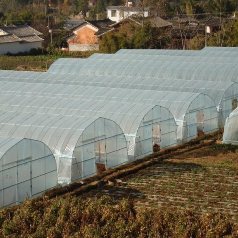 Home Garden Green House Agricultural Greenhouse Manufacturing Back Yard Greenhouse Flower Greenhouse