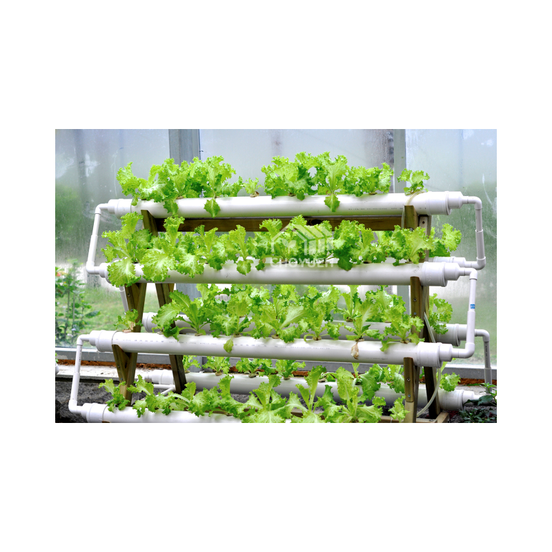 CHOYUEH agricultural greenhouse Hydroponic Growing System