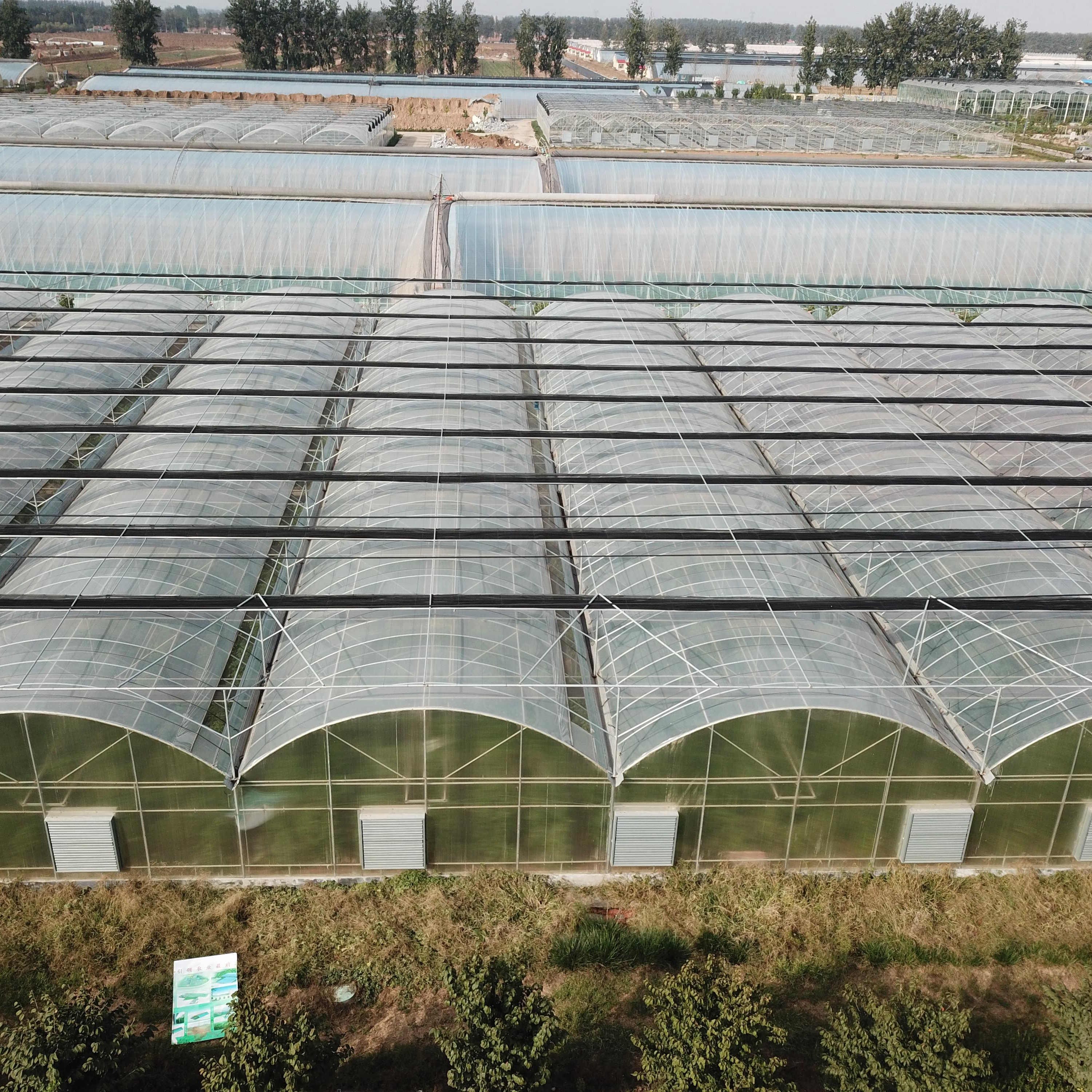 Custom High Quality Flower Planting Shed Multispan Garden Plastic Agricultural Greenhouse tunnel Greenhouse price