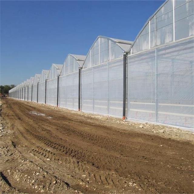 Custom High Quality Flower Planting Shed Multispan Garden Plastic Agricultural Greenhouse tunnel Greenhouse price