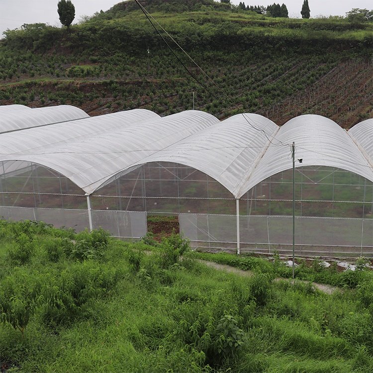 Agriculture large green house metal frame multispan vegetables growing tunnel multi span film greenhouse