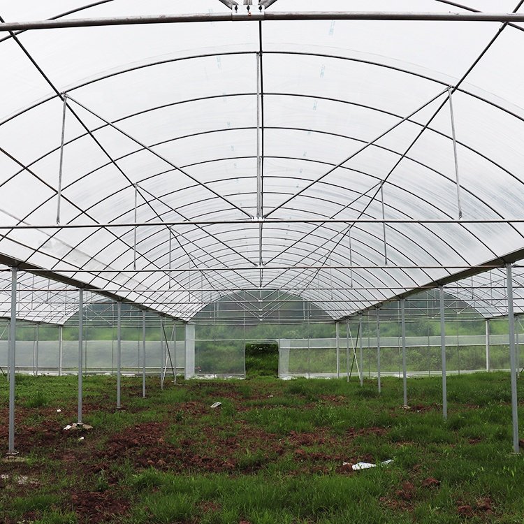 Agriculture large green house metal frame multispan vegetables growing tunnel multi span film greenhouse