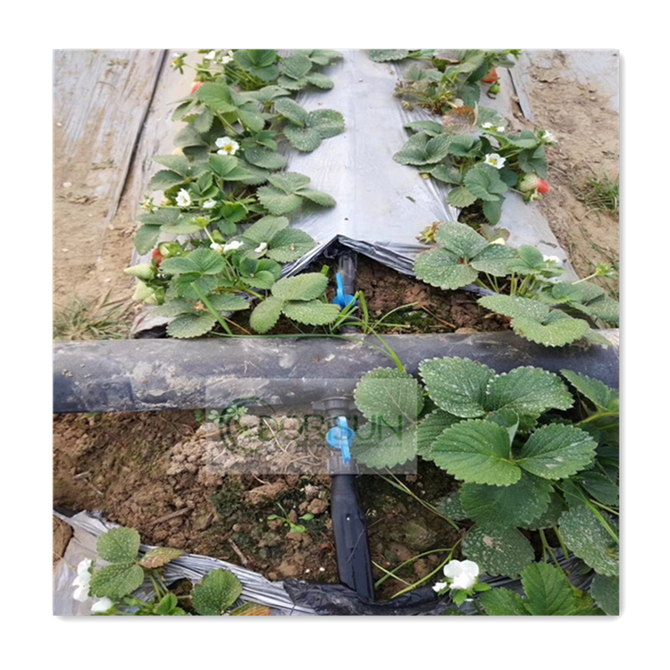 New Plastic Agricultural Garden Watering Drip Irrigation System Inline Flat Dripper Drip Irrigation Pipe With Good Price