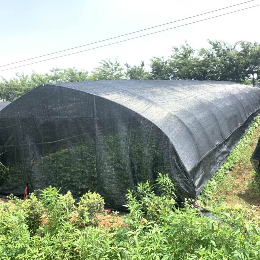 60% Shading net Agriculture Dark Green Bulk Shade Cloth for Covering Garden, Greenhouse, Patio, Canopy