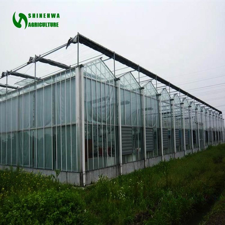 Multi-span Green House Agricultural Glass Greenhouse With Hydroponics System For Vegetables Growing