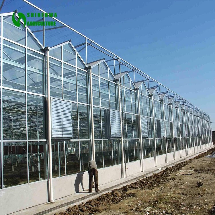 Multi-span Green House Agricultural Glass Greenhouse With Hydroponics System For Vegetables Growing