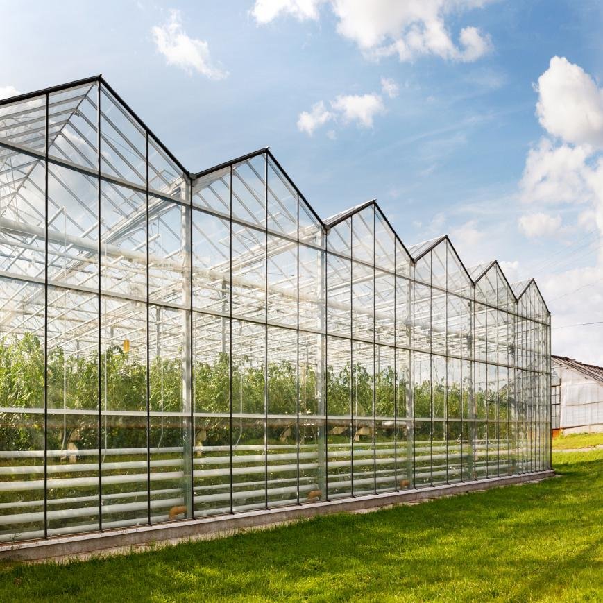 Multi-span Green House Agricultural Glass Greenhouse With Hydroponics System For Vegetables Growing