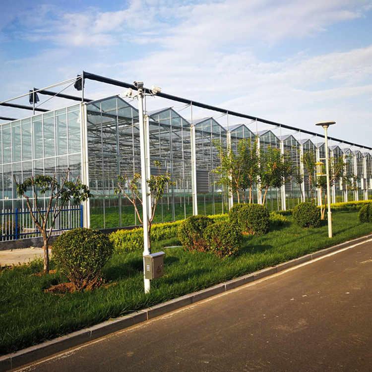 high tunnel greenhouse Commercial Agricultural Poly Tunnel Greenhouse for Vegetables
