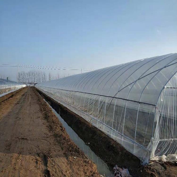 high tunnel greenhouse Commercial Agricultural Poly Tunnel Greenhouse for Vegetables