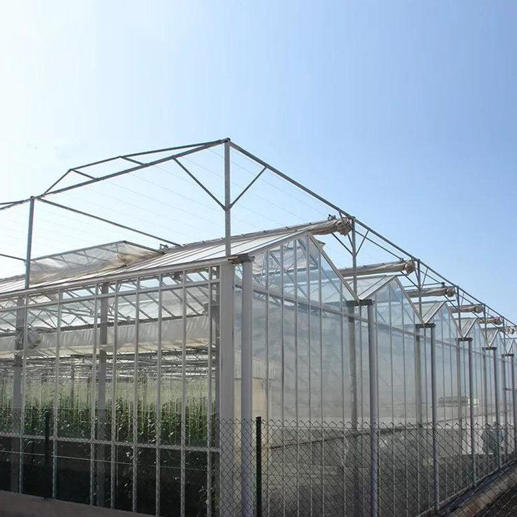 high tunnel greenhouse Commercial Agricultural Poly Tunnel Greenhouse for Vegetables