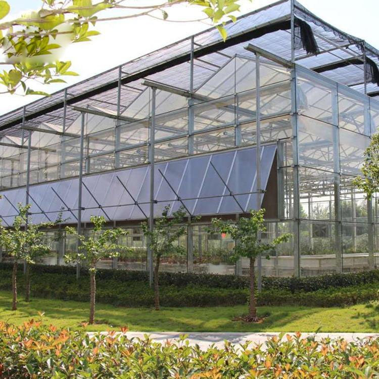 high tunnel greenhouse Commercial Agricultural Poly Tunnel Greenhouse for Vegetables