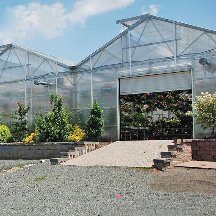 high tunnel greenhouse Commercial Agricultural Poly Tunnel Greenhouse for Vegetables