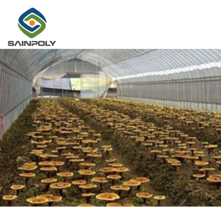 Grow Tents Mushroom Plastic Film Black Galvanized Steel Film Cover Large Scale Mushroom Blackout Green House Safe Packing