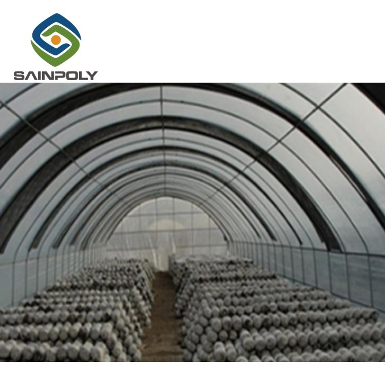 Grow Tents Mushroom Plastic Film Black Galvanized Steel Film Cover Large Scale Mushroom Blackout Green House Safe Packing
