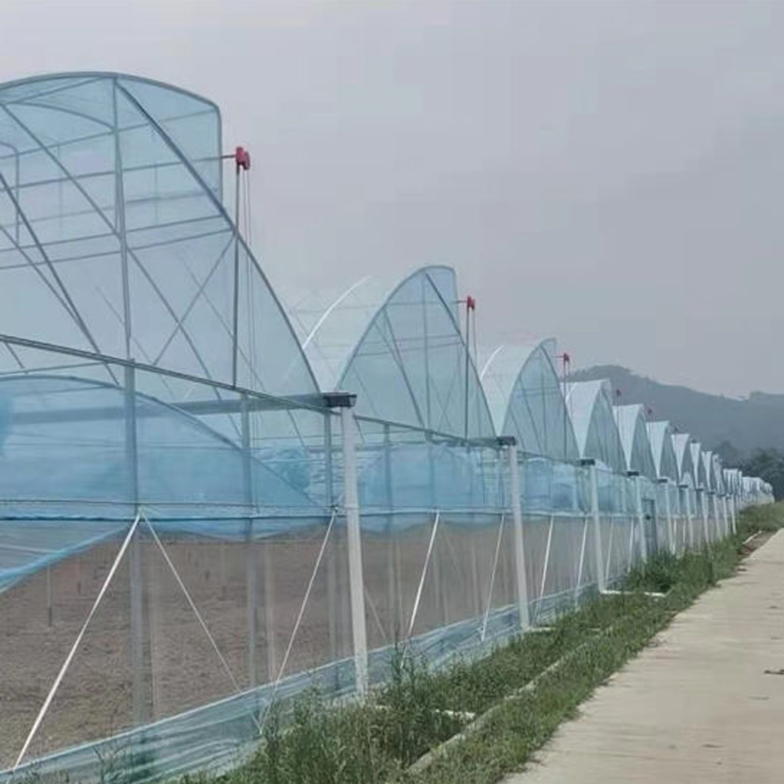 Agricultural Hydroponic Superfarm Green House Sawtooth Greenhouse For Sale