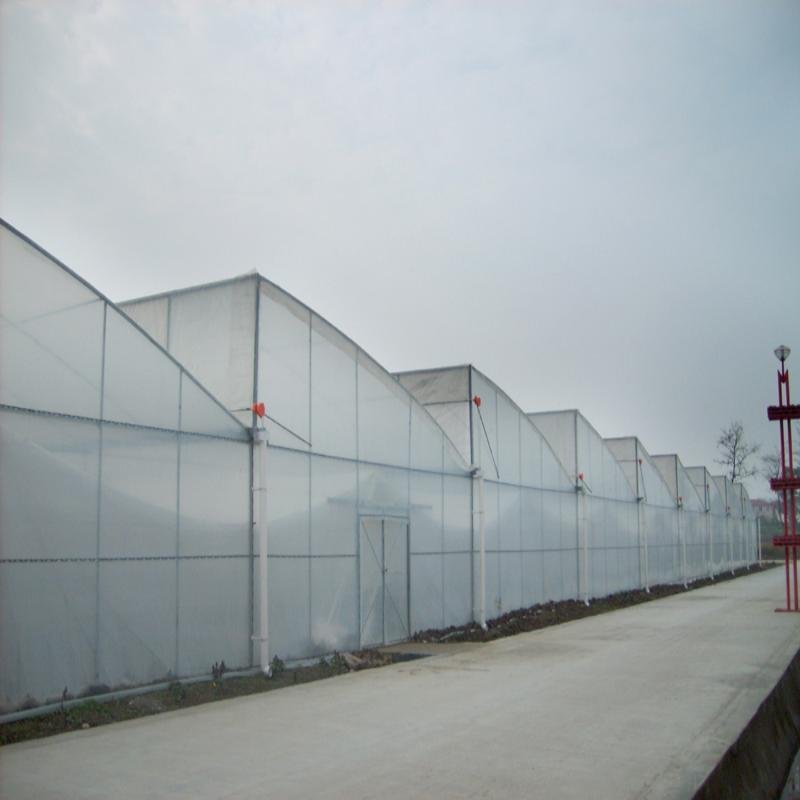 Agricultural Hydroponic Superfarm Green House Sawtooth Greenhouse For Sale