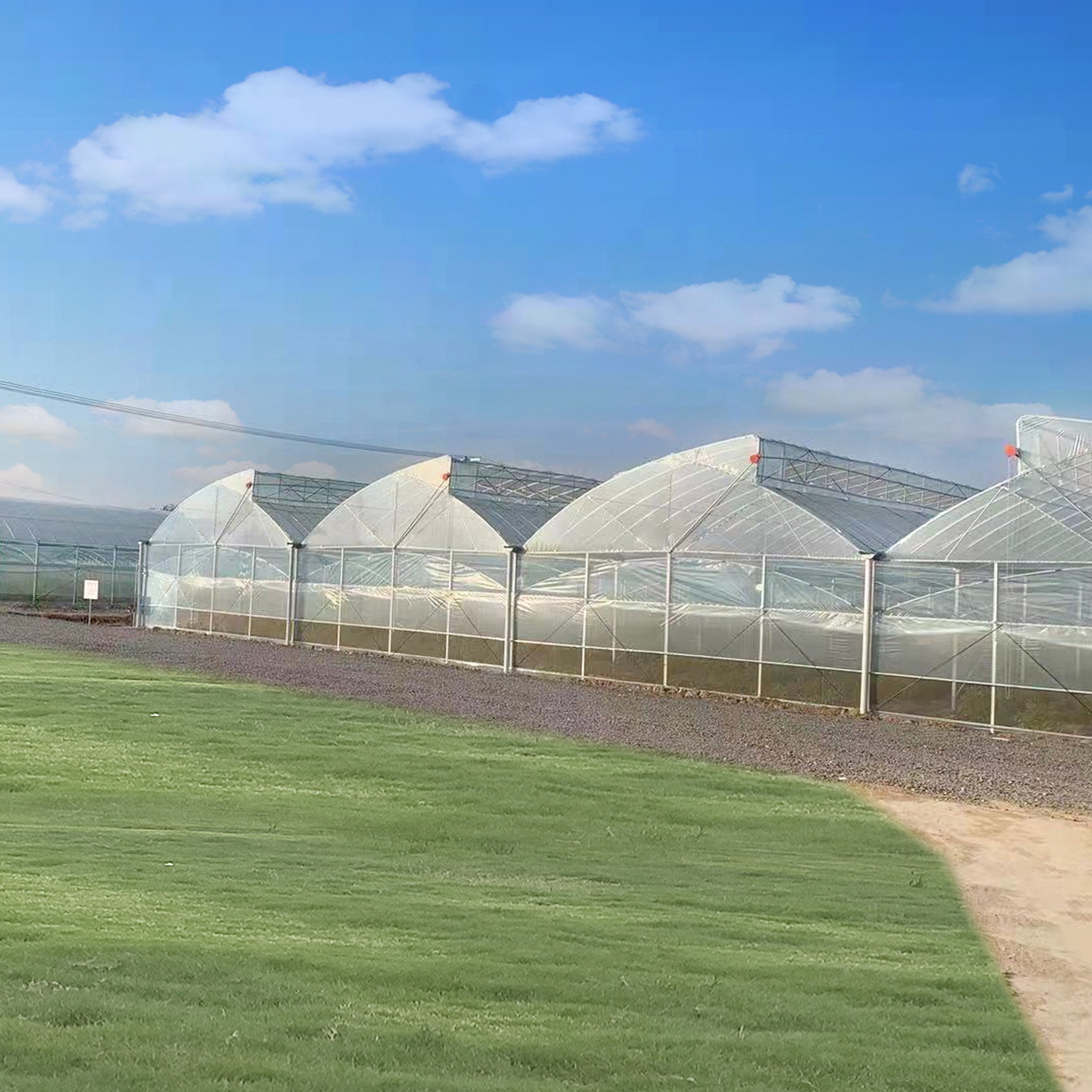 Agricultural Hydroponic Superfarm Green House Sawtooth Greenhouse For Sale