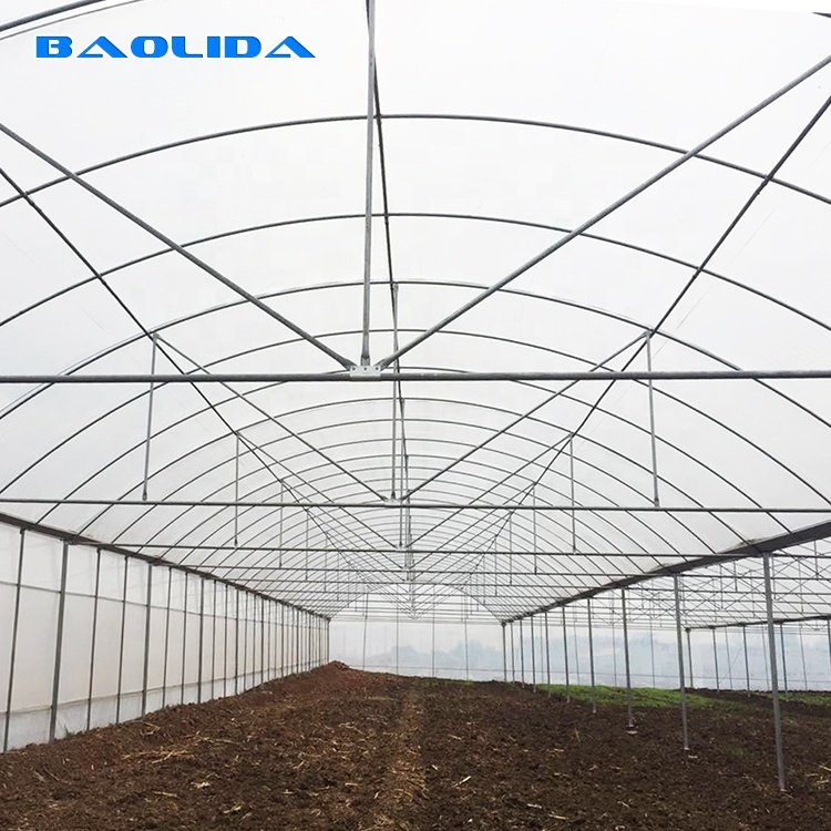 Snail Farming Packaging Greenhouse Agricultural