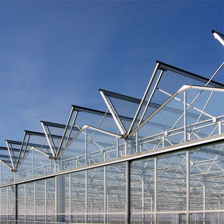 Baolida Agricultural Equipment Insulated Tempered Glass Victorian Greenhouse For Tomato