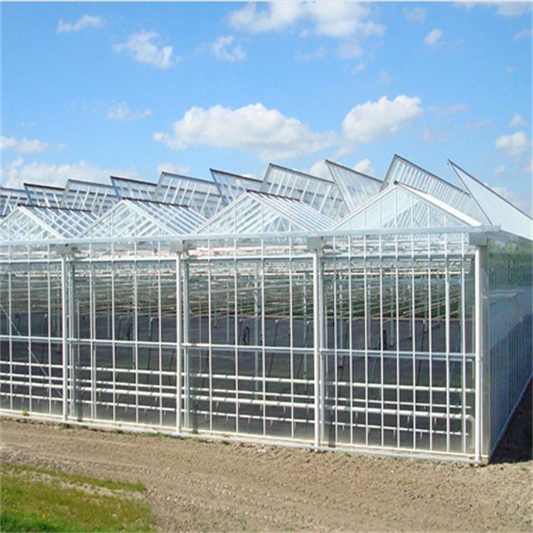 Baolida Agricultural Equipment Insulated Tempered Glass Victorian Greenhouse For Tomato