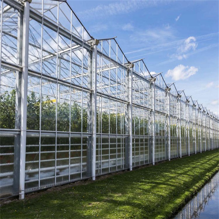 Baolida Agricultural Equipment Insulated Tempered Glass Victorian Greenhouse For Tomato