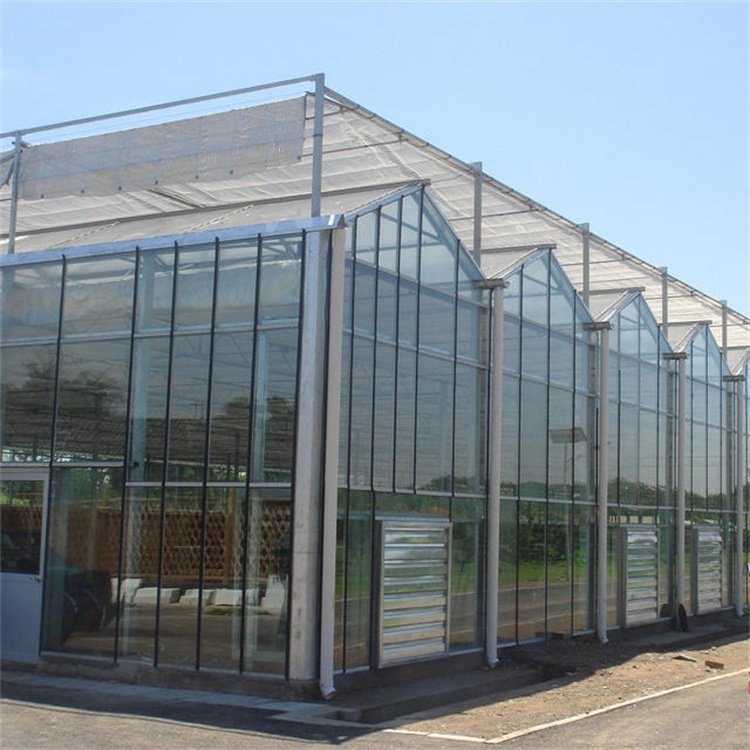 Baolida Agricultural Equipment Insulated Tempered Glass Victorian Greenhouse For Tomato