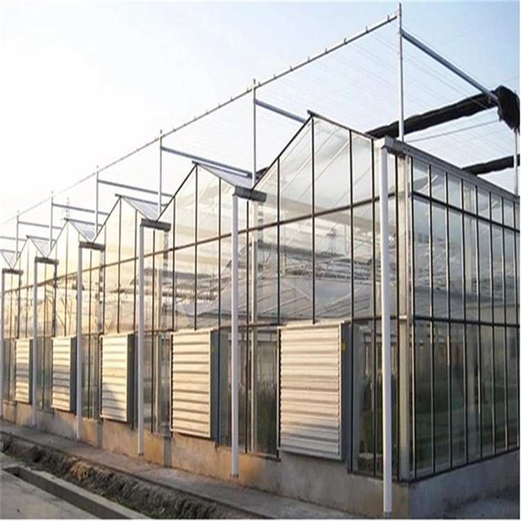Baolida Agricultural Equipment Insulated Tempered Glass Victorian Greenhouse For Tomato