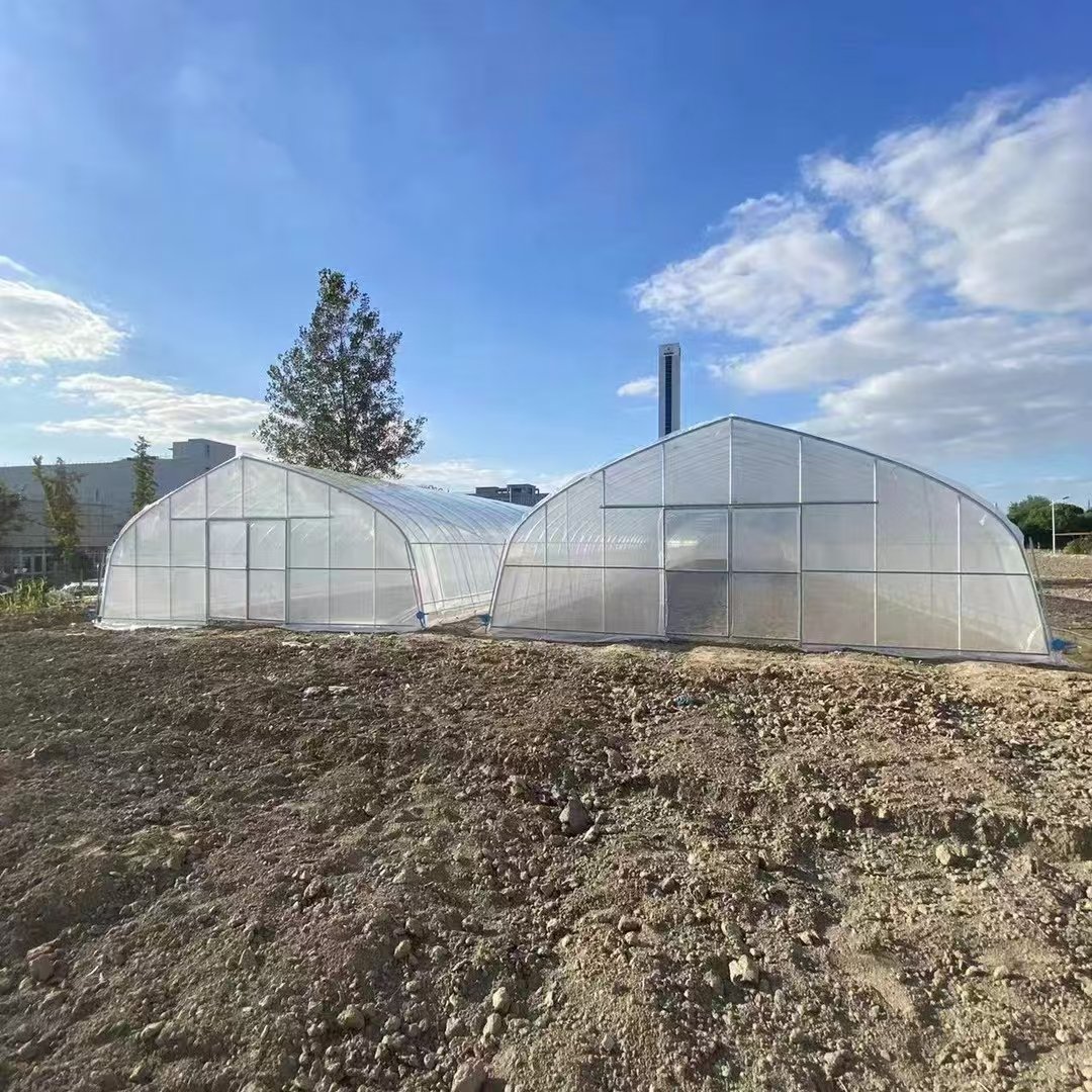 Hydroponic system high tunnel PE film covering frame winter agriculture single-span greenhouse for vegetables