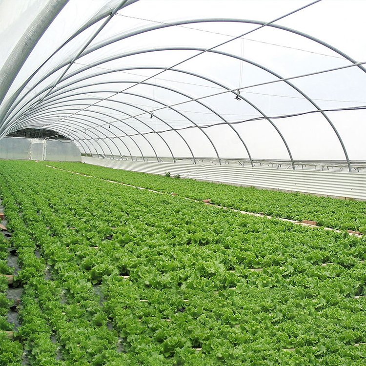 Cheapest easily assembled single layer greenhouse tomatoes agricultural portable tunnel greenhouse for sale
