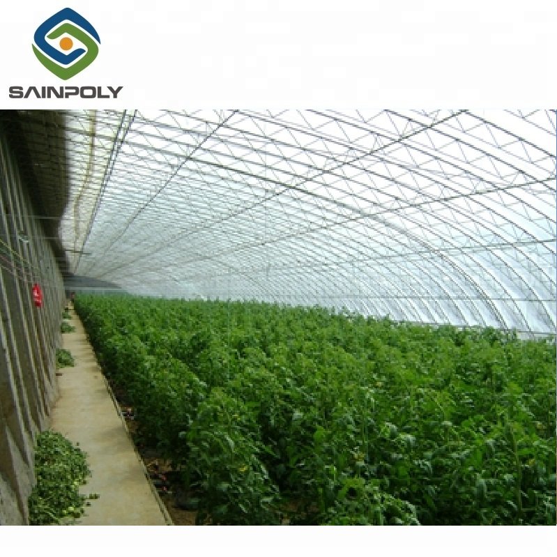 Solar Greenhouse with hydroponic Systems