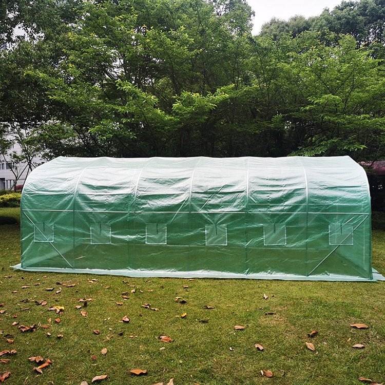 600x300x213cm 4 Season Waterproof Hothouse Sustainable Stable greenhouse With Plastic Film