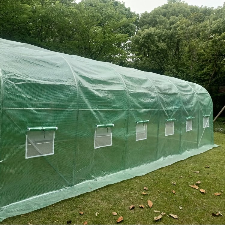 600x300x213cm 4 Season Waterproof Hothouse Sustainable Stable greenhouse With Plastic Film