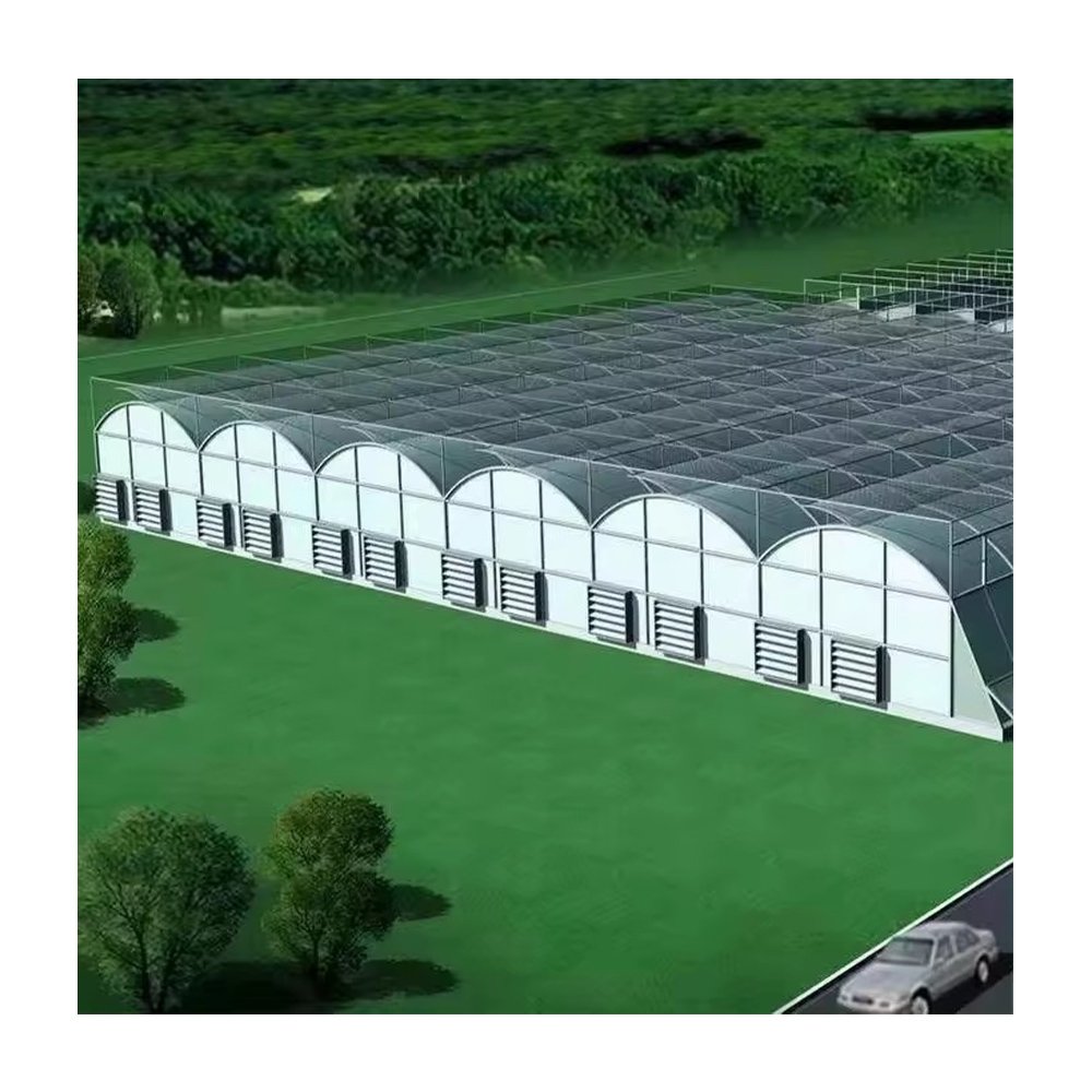 Cheapest And Easily Shinetech Installed Multi Span Agricultural Commercial Green House Hydrophonic Greenhouse