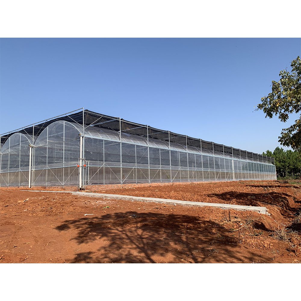 Cheapest And Easily Shinetech Installed Multi Span Agricultural Commercial Green House Hydrophonic Greenhouse