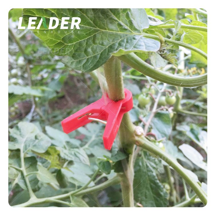 Agricultural UV protection plastic white garden plant support tomato cucumber grafting vine clip for tunnel greenhouse