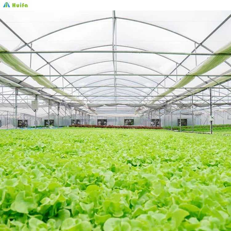 Agricultural Commercial Green House Greenhouse China Custom Green House High Tunnel Agriculture Farming Greenhouse For Planting