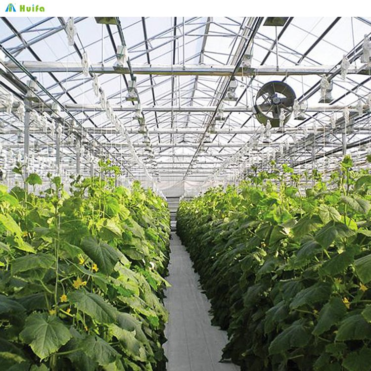 Agricultural Commercial Green House Greenhouse China Custom Green House High Tunnel Agriculture Farming Greenhouse For Planting