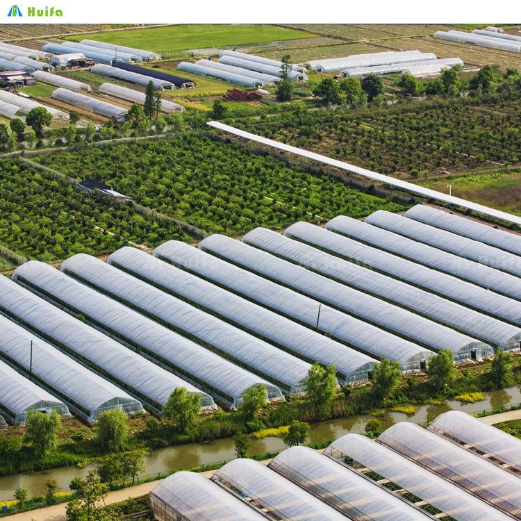 Agricultural Commercial Green House Greenhouse China Custom Green House High Tunnel Agriculture Farming Greenhouse For Planting