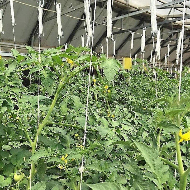 Low cost agricultural multi span tomato hydroponics greenhouse hanger roller hook with 15m twine for cucumber