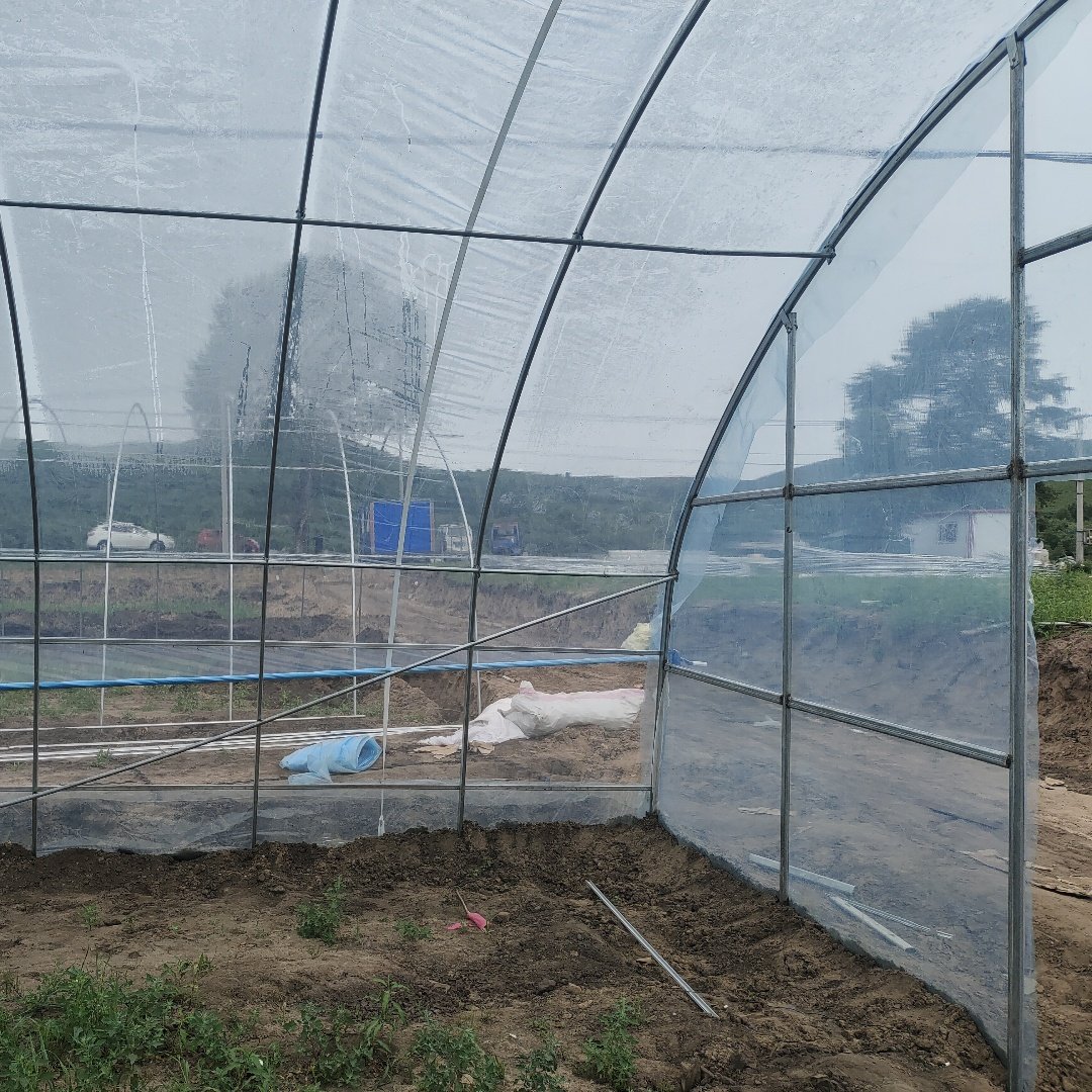 1 Set 8x30m 30x70mm oval Pipe PO Film Plastic Green House Single Tunnel Agricultural Greenhouse Hoop House