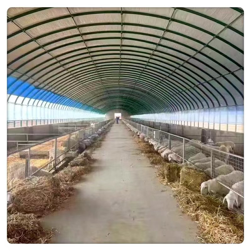 Wholesale Large Commercial Single-Layer Tunnel Style Greenhouse Poultry Animal Breeding PE Film Steel Agriculture Plants