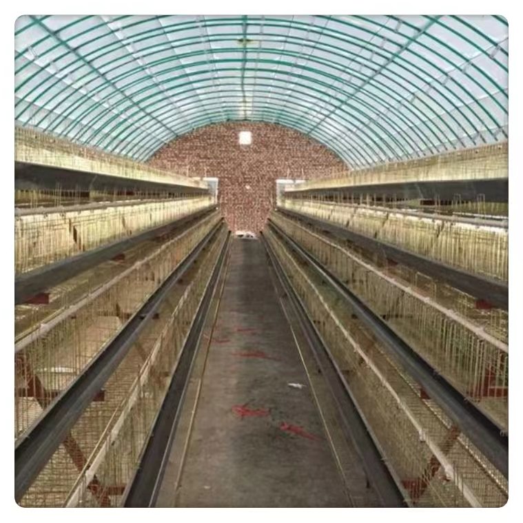 Wholesale Large Commercial Single-Layer Tunnel Style Greenhouse Poultry Animal Breeding PE Film Steel Agriculture Plants