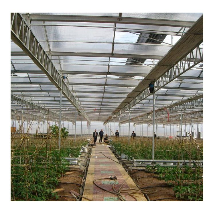 Factory Direct Sales Large Size Intelligent Glass Green House Greenhouse With Hydroponic Growing System
