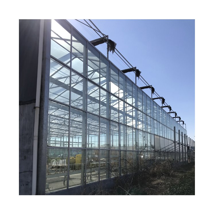 Factory Direct Sales Large Size Intelligent Glass Green House Greenhouse With Hydroponic Growing System
