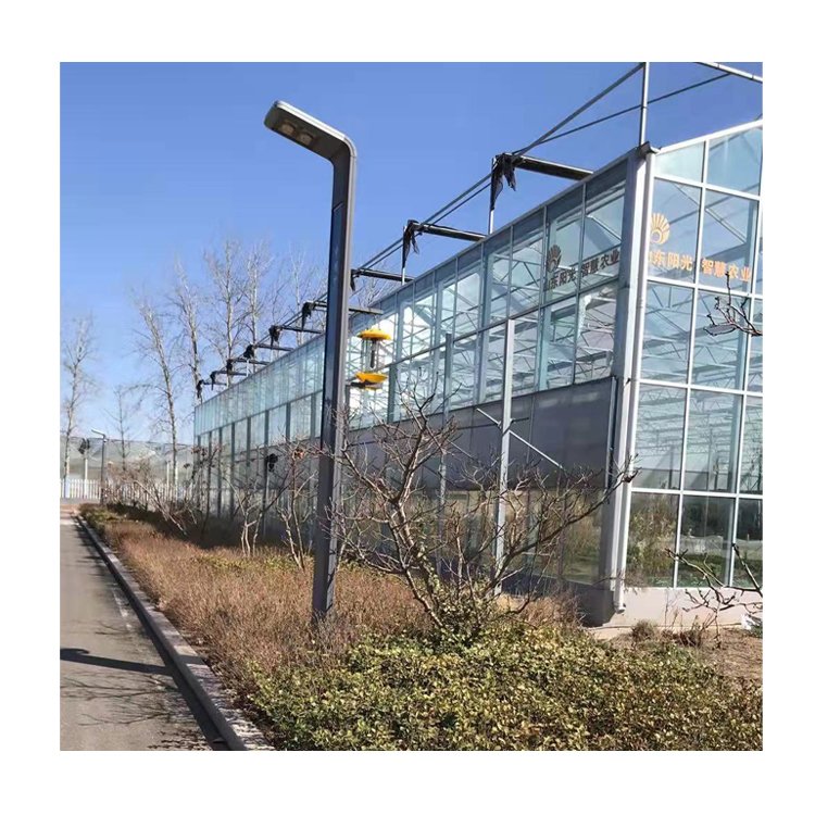 Factory Direct Sales Large Size Intelligent Glass Green House Greenhouse With Hydroponic Growing System