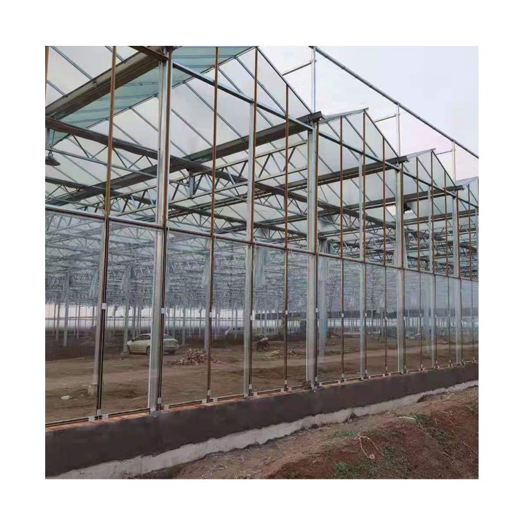 Factory Direct Sales Large Size Intelligent Glass Green House Greenhouse With Hydroponic Growing System