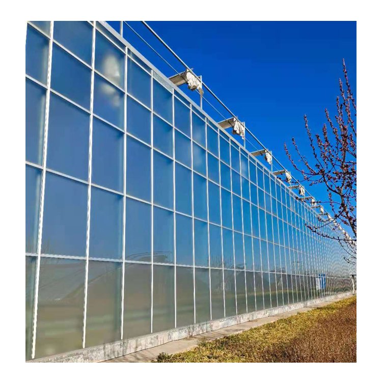 Factory Direct Sales Large Size Intelligent Glass Green House Greenhouse With Hydroponic Growing System