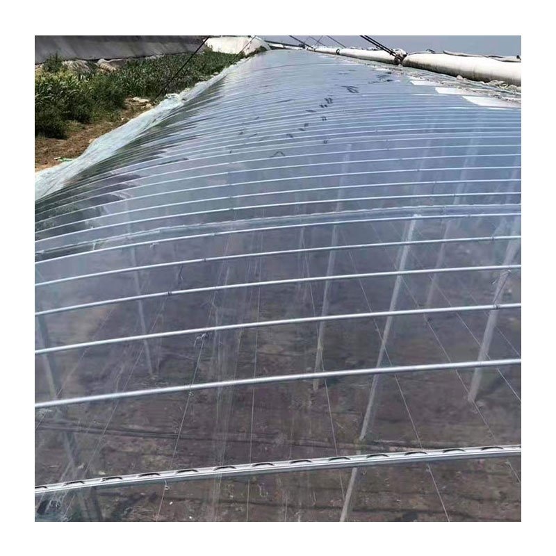 High Quality Agricultural Tunnel Single-span Greenhouse film Commercial Greenhouse Diffuse Film