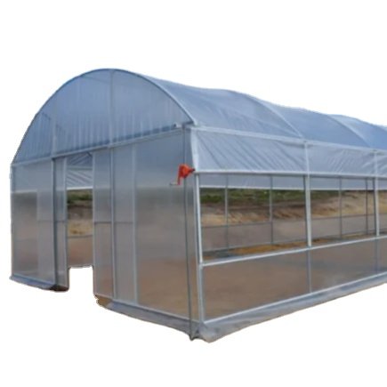 High quality agricultural greenhouse included hydroponic system
