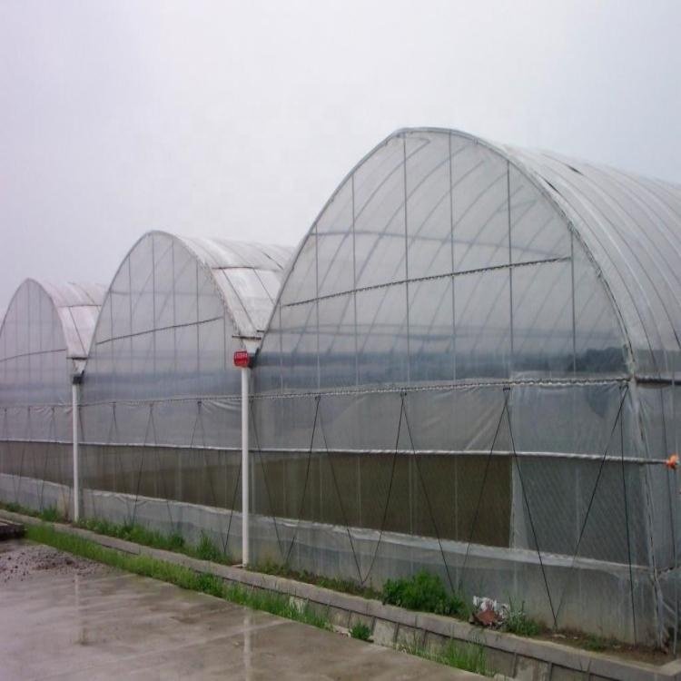Greenhouse Construction Plastic Film Greenhouse (108*36M) Galvanized Steel Frame Greenhouse For Agriculture